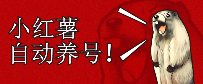 小红书养号秘籍，如何自动涨粉清晰系统标签打造高权重账号【揭秘】-萝卜兔资源站