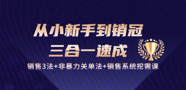 从小新手到销冠 三合一速成：销售3法+非暴力关单法+销售系统挖需课 (27节)-萝卜兔资源站