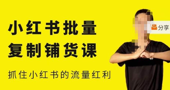 张宾·小红书批量复制铺货课，小红书0-1快速起号变现玩法，抓住小红书的流量红利（更新2023年3月）【揭秘】-萝卜兔资源站