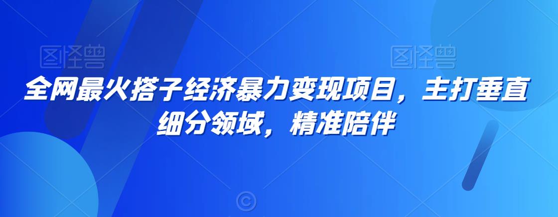 全网最火搭子经济暴力变现项目，主打垂直细分领域，精准陪伴【揭秘】-萝卜兔资源站