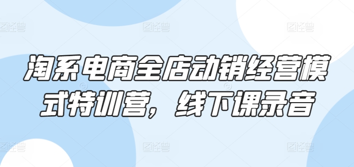 淘系电商全店动销经营模式特训营，线下课录音-萝卜兔资源站
