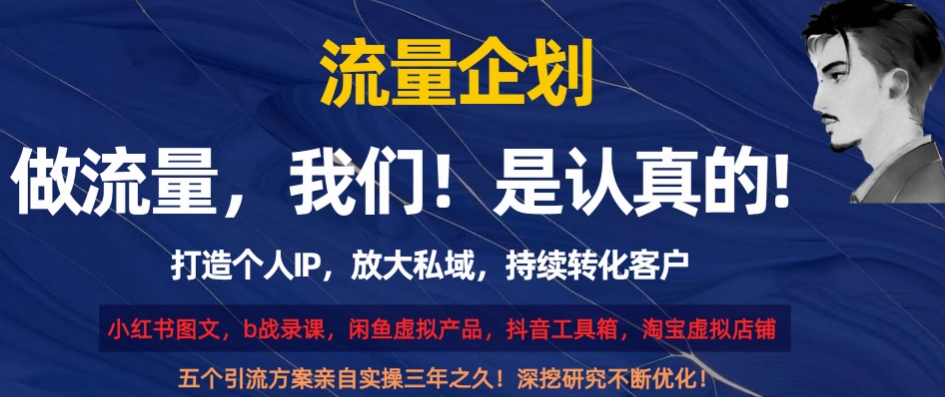 流量企划，打造个人IP，放大私域，持续转化客户【揭秘】-萝卜兔资源站