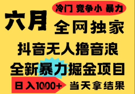 25年6月高爆抖音无人直播最新撸音浪掘金项目，小白可做，无脑日入1k+，门槛低可批量矩阵【揭秘】-萝卜兔资源站