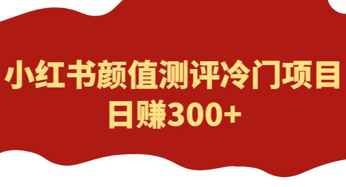 外面1980的项目，小红书颜值测评冷门项目，日赚300+【揭秘】-萝卜兔资源站