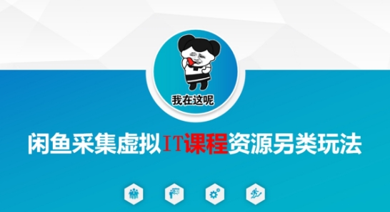 闲鱼采集虚拟IT课程资源另类玩法，干货满满-萝卜兔资源站