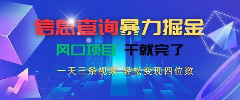 信息查询暴力掘金，一天三条视频，轻松变现四位数，风口项目干就完了【揭秘】-萝卜兔资源站