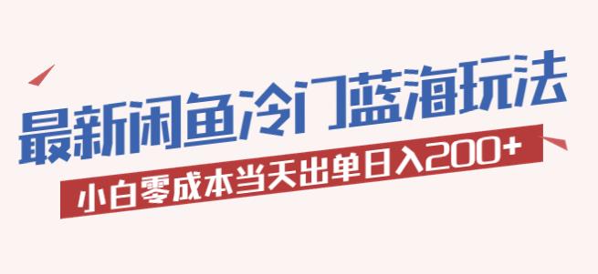 2023最新闲鱼冷门蓝海玩法，小白零成本当天出单日入200+【揭秘】-萝卜兔资源站
