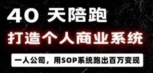 40天陪跑打造个人商业系统，一人公司，用SOP系统跑出百W变现-萝卜兔资源站
