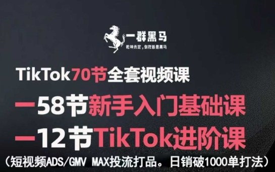 TikTok全套视频课，新手入门+进阶课，短视频ADS-GMV MAX投流打品，日销破1000单打法-萝卜兔资源站