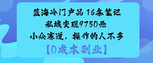 蓝海冷门产品：16条笔记私域变现9750米小众赛道，操作的人不多-萝卜兔资源站