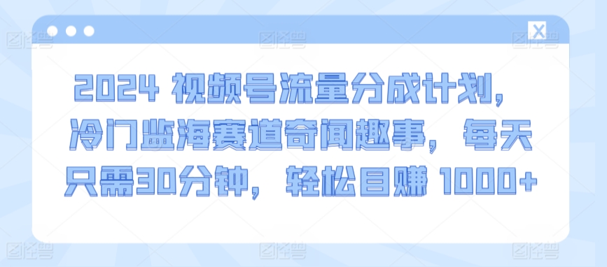 2024视频号流量分成计划，冷门监海赛道奇闻趣事，每天只需30分钟，轻松目赚 1000+【揭秘】-萝卜兔资源站
