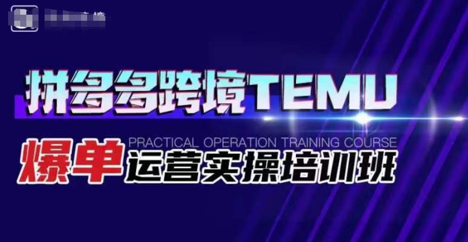 拼多多跨境TEMU爆单运营实操培训班，海外拼多多的选品、运营、爆单-萝卜兔资源站