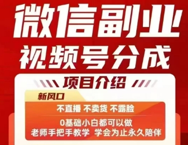 微信副业视频号分成，不直播 不卖货 不露脸，三五分钟即可完成一条作，每日收益几十、几张不等-萝卜兔资源站