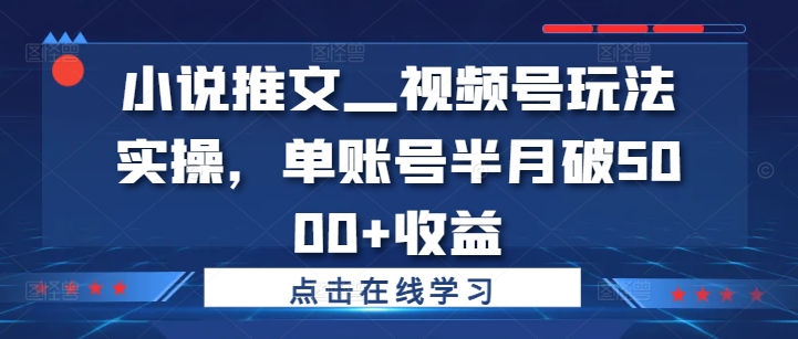 小说推文—视频号玩法实操，单账号半月破5000+收益-萝卜兔资源站