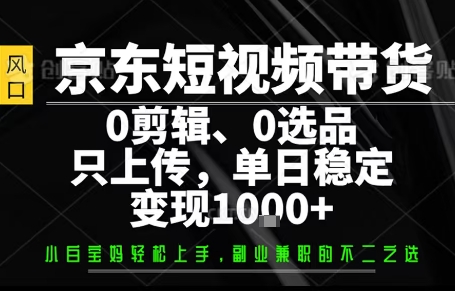 你出账号，我来运营，保底日入1k+，开启躺賺模式【揭秘】-萝卜兔资源站