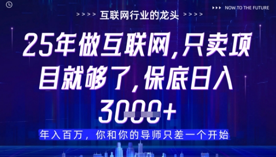 什么！25年你还在找项目做？风口早就变了，卖项目才是稳挣不赔【揭秘】-萝卜兔资源站