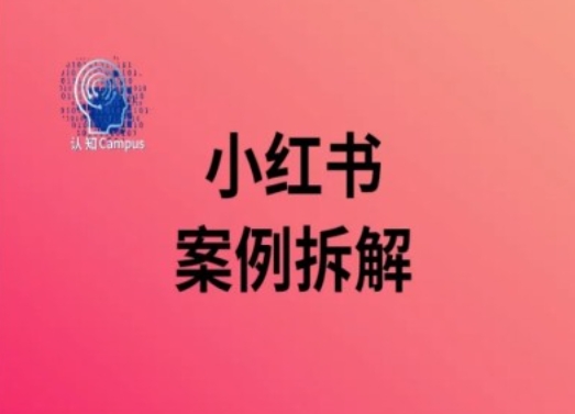 小红书案例拆解，深度解读小红书40万粉-萝卜兔资源站