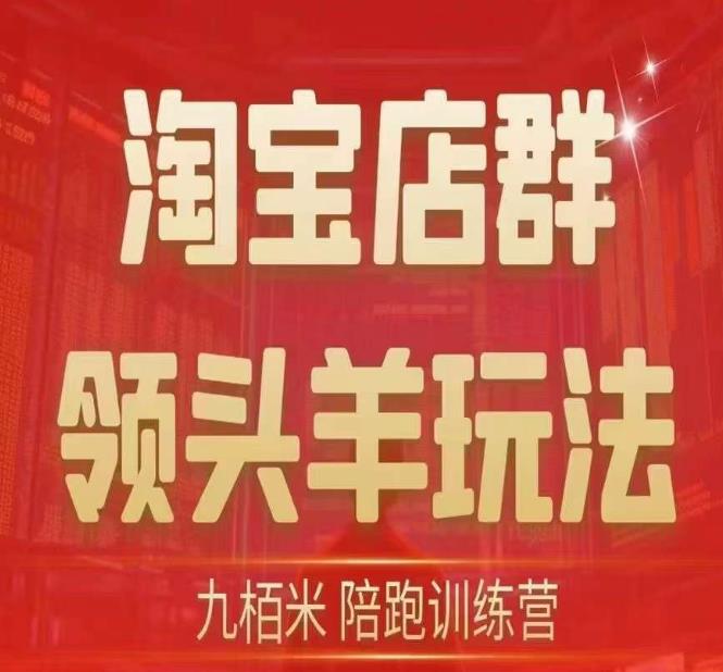 九栢米-淘宝店群领头羊玩法，教你整个淘宝店群领头羊玩法以及精细化/终极蓝海/尾销等内容-萝卜兔资源站