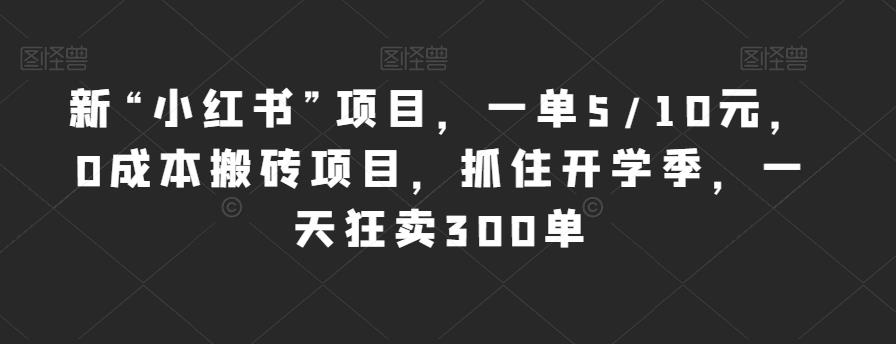 新“小红书”项目，一单5/10元，0成本搬砖项目，抓住开学季，一天狂卖300单【揭秘】-萝卜兔资源站