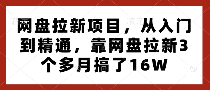 网盘拉新项目，从入门到精通，靠网盘拉新3个多月搞了16W-萝卜兔资源站