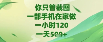 你只管截图，一部手机在家做，苹果安卓都可以，一天5张+【揭秘】-萝卜兔资源站