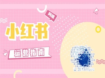 小红书运营指南，没有套路，全是经验-萝卜兔资源站