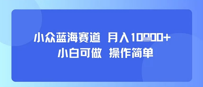 小众蓝海赛道，小白可做，操作简单，每天30分钟，月入1W+-萝卜兔资源站