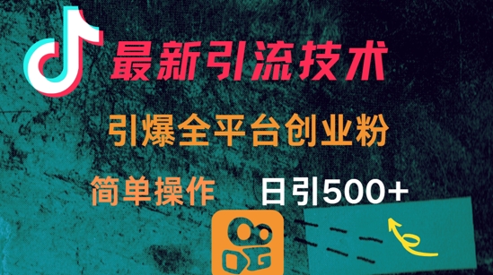 最新引流方法，引爆全平台的一个创业粉，简单操作日引300+-萝卜兔资源站