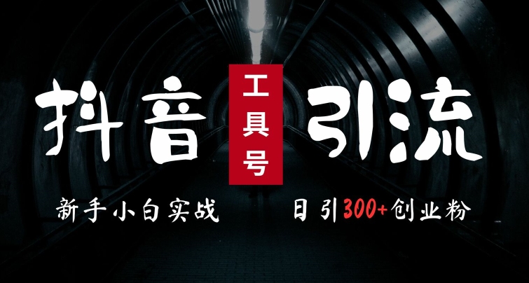 2024最新抖音工具号引流玩法，高效日引300+创业粉，当天变现5k，小白也可成为实战高手-萝卜兔资源站