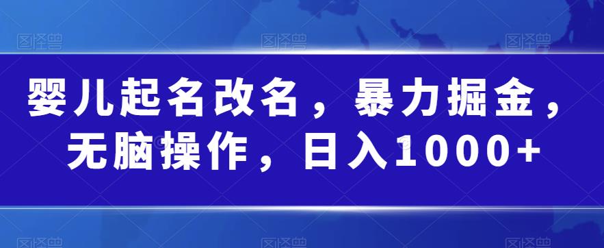 婴儿起名改名，暴力掘金，无脑操作，日入1000+【揭秘】-萝卜兔资源站