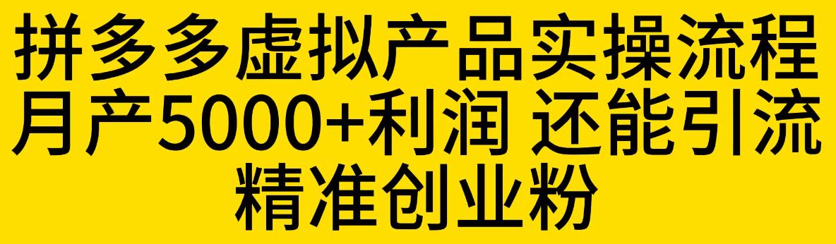 拼多多虚拟产品实操流程，月产5000+利润，还能引流精准创业粉【揭秘】-萝卜兔资源站