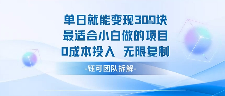单日就能变现3张最适合小白做的项目0成本投入 无限复制-萝卜兔资源站