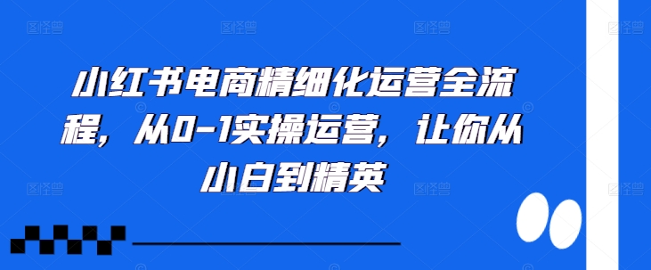 小红书电商精细化运营全流程，从0-1实操运营，让你从小白到精英-萝卜兔资源站
