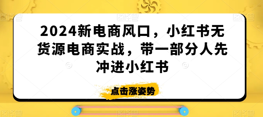 2024新电商风口，小红书无货源电商实战，带一部分人先冲进小红书-萝卜兔资源站