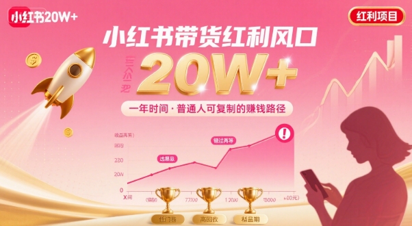 一年时间靠小红书带货项目年入20w+，最不能错的大红利项目-萝卜兔资源站