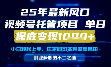 25年最新风口，视频号托管项目，单日保底变现1k+，手把手教学【揭秘】-萝卜兔资源站