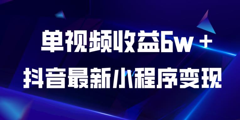 抖音最新小程序变现项目，单视频收益6w＋，小白可做【揭秘】-萝卜兔资源站