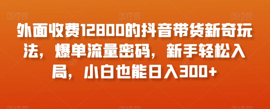 外面收费12800的抖音带货新奇玩法，爆单流量密码，新手轻松入局，小白也能日入300+【揭秘】-萝卜兔资源站