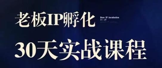 诸葛·2023老板IP实战课，实体同城引流获客，IP孵化必听-萝卜兔资源站