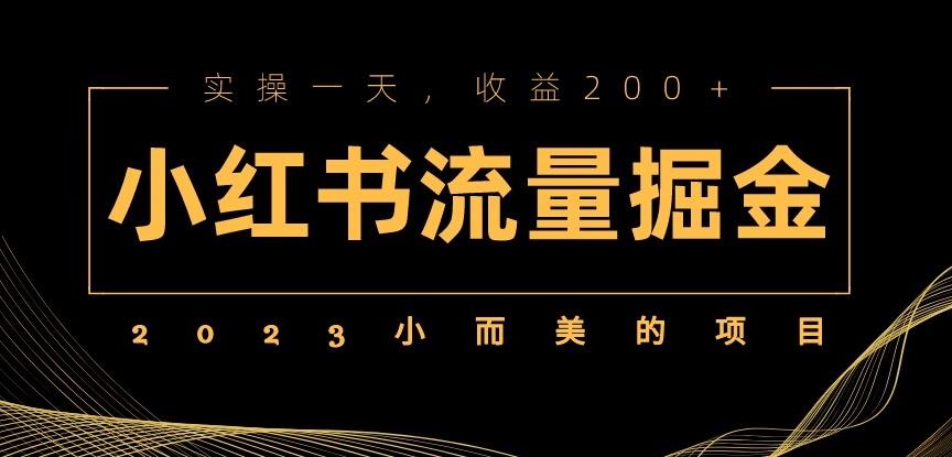 2023小而美的项目，小红书流量掘金，实操一天，收益200+【揭秘】-萝卜兔资源站