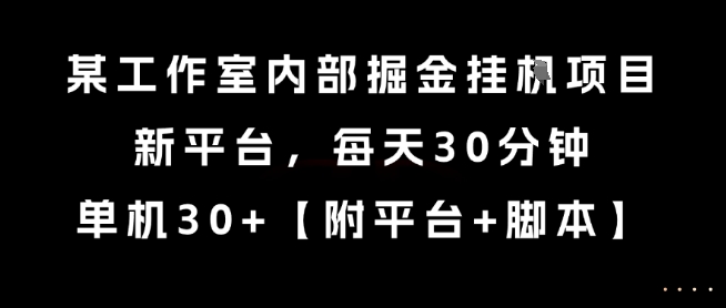 某工作室内部掘金挂G项目，新平台，每天30分钟，单机30+【揭秘】-萝卜兔资源站