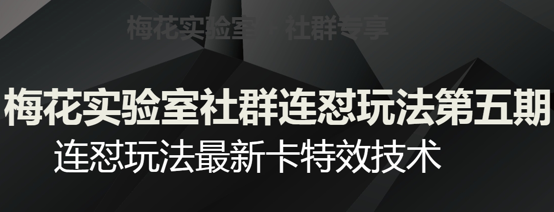梅花实验室社群连怼玩法第五期，视频号连怼玩法最新卡特效技术-萝卜兔资源站