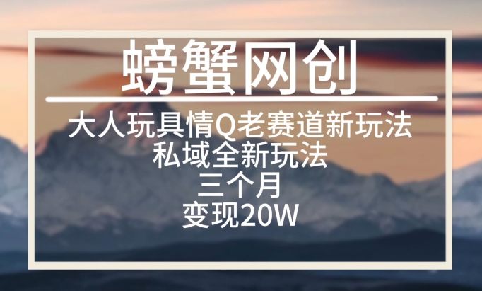 大人玩具情Q用品赛道私域全新玩法，三个月变现20W，老项目新思路【揭秘】-萝卜兔资源站