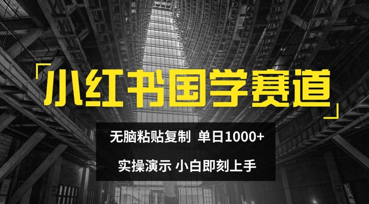 小红书国学赛道，无脑粘贴复制，单日1K，实操演示，小白即刻上手【揭秘】-萝卜兔资源站