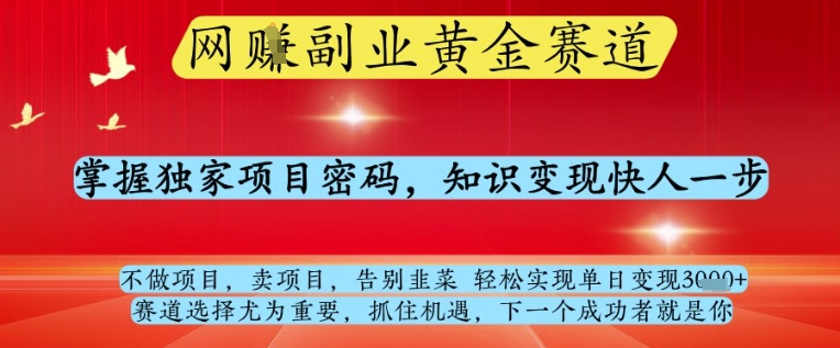 网创副业黄全赛道，掌握独家项目密码，知识变现快人一步，告别韭菜轻松实现单日变现1k+【揭秘】-萝卜兔资源站