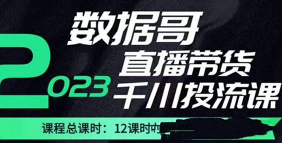 数据哥2023直播电商巨量千川付费投流实操课，快速掌握直播带货运营投放策略【揭秘】-萝卜兔资源站