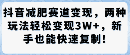 抖音减肥赛道变现，两种玩法轻松变现3W+，新手也能快速复制-萝卜兔资源站