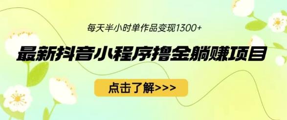 最新抖音小程序撸金躺赚项目，一部手机每天半小时，单个作品变现1300+【揭秘】-萝卜兔资源站