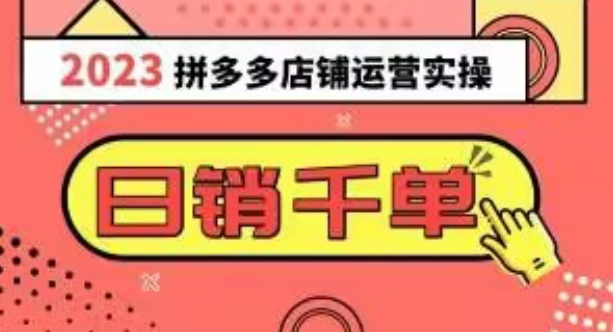 2023拼多多运营实操，每天30分钟日销1000＋，爆款选品技巧大全（10节课）-萝卜兔资源站
