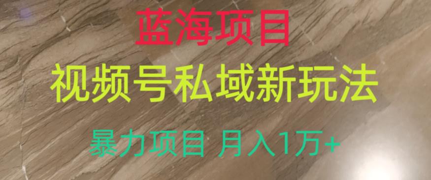 蓝海项目，视频号私域新玩法，暴力项目月入1万+【揭秘】-萝卜兔资源站